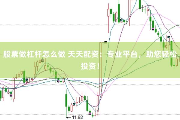 股票做杠杆怎么做 天天配资:专业平台,助您轻松投资!