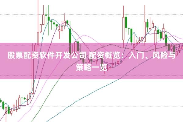 股票配资软件开发公司 配资概览：入门、风险与策略一览