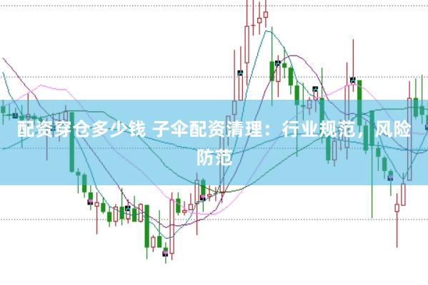 配资穿仓多少钱 子伞配资清理：行业规范，风险防范