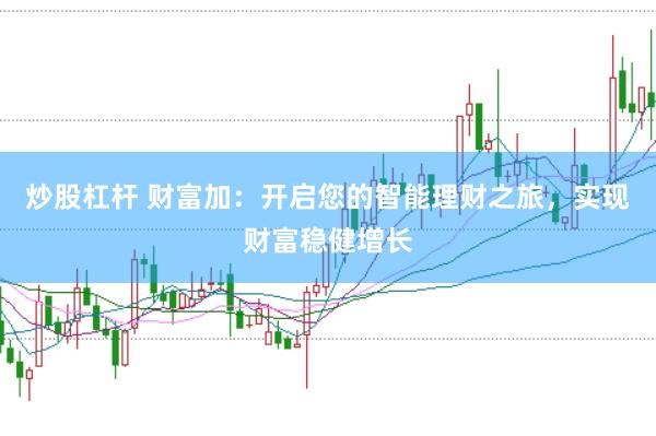 炒股杠杆 财富加：开启您的智能理财之旅，实现财富稳健增长