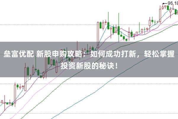 垒富优配 新股申购攻略：如何成功打新，轻松掌握投资新股的秘诀！