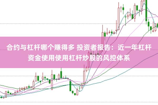合约与杠杆哪个赚得多 投资者报告：近一年杠杆资金使用使用杠杆炒股的风控体系