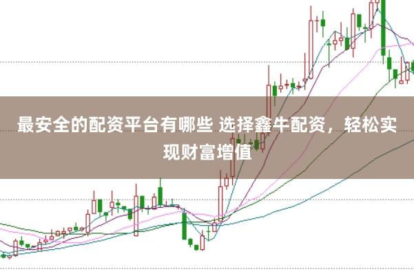 最安全的配资平台有哪些 选择鑫牛配资，轻松实现财富增值
